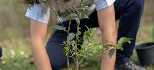 EcoSolutions wins GreenTech Award.